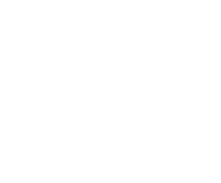 Brand Idendity